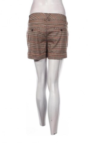 Damen Shorts Colours Of The World, Größe M, Farbe Mehrfarbig, Preis € 13,99