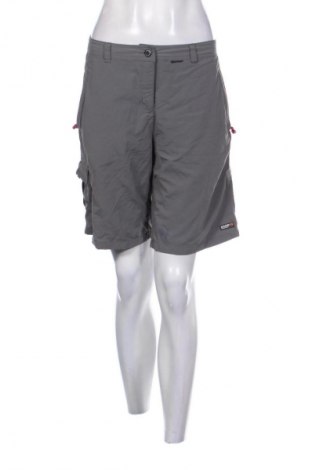 Damen Shorts Icepeak, Größe L, Farbe Grau, Preis € 17,39