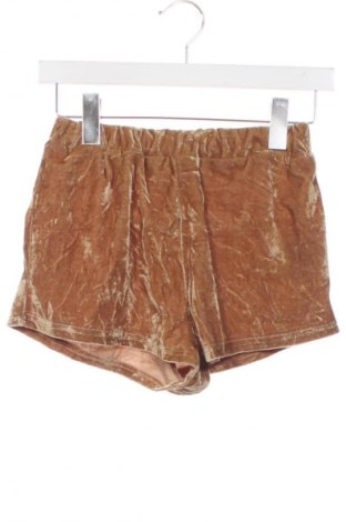 Damen Shorts Unbranded, Größe XS, Farbe Braun, Preis 13,99 €