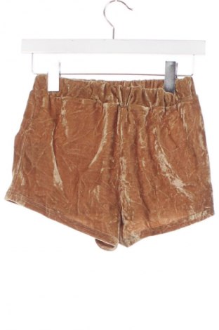 Damen Shorts Unbranded, Größe XS, Farbe Braun, Preis 13,99 €