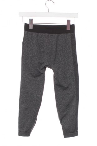 Damen Leggings Terranova, Größe XS, Farbe Mehrfarbig, Preis € 13,30
