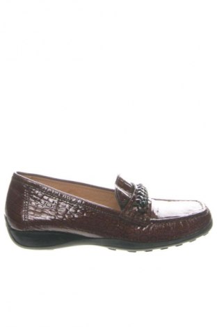 Damenschuhe Geox, Größe 36, Farbe Braun, Preis 19,28 €