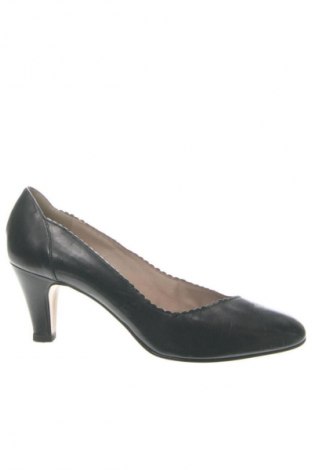 Damenschuhe Salamander, Größe 38, Farbe Schwarz, Preis 34,35 €