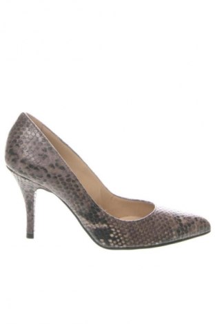 Damenschuhe Zee Lane, Größe 37, Farbe Mehrfarbig, Preis 103,81 €