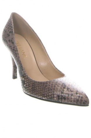 Damenschuhe Zee Lane, Größe 37, Farbe Mehrfarbig, Preis 103,81 €