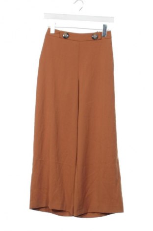 Damenhose Dorothy Perkins, Größe XS, Farbe Braun, Preis 23,99 €