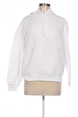 Damen Sweatshirt Calvin Klein Jeans, Größe S, Farbe Weiß, Preis € 74,99