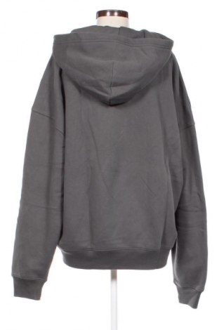 Damen Sweatshirt Hollister, Größe XL, Farbe Grau, Preis 53,99 €