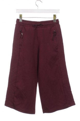 Damen Sporthose PUMA, Größe XS, Farbe Rot, Preis 21,77 €