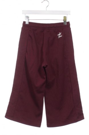 Damen Sporthose PUMA, Größe XS, Farbe Rot, Preis 21,77 €