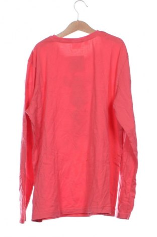 Dziecięca bluzka Bpc Bonprix Collection, Rozmiar 15-18y/ 170-176 cm, Kolor Czerwony, Cena 15,99 zł