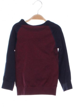 Kinder Shirt Lupilu, Größe 2-3y/ 98-104 cm, Farbe Mehrfarbig, Preis € 7,99