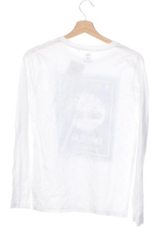 Kinder Shirt Timberland, Größe 15-18y/ 170-176 cm, Farbe Weiß, Preis 28,99 €