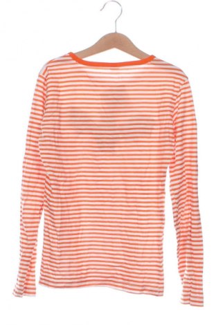 Detská blúzka  Unbranded, Veľkosť 10-11y/ 146-152 cm, Farba Viacfarebná, Cena  2,95 €