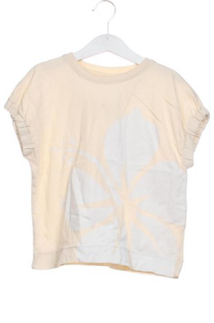 Kinder Shirt Zara, Größe 7-8y/ 128-134 cm, Farbe Ecru, Preis 7,39 €