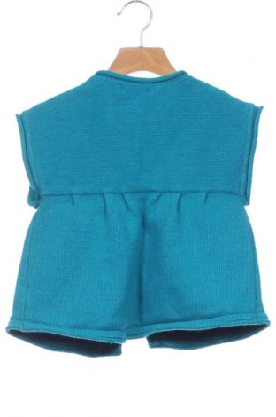 Pulover cu nasturi pentru copii Dp...am, Mărime 5-6y/ 116-122 cm, Culoare Albastru, Preț 44,70 Lei