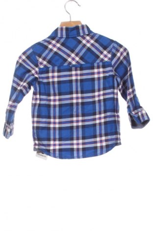 Dziecięca koszula Timberland, Rozmiar 12-18m/ 80-86 cm, Kolor Kolorowy, Cena 180,99 zł