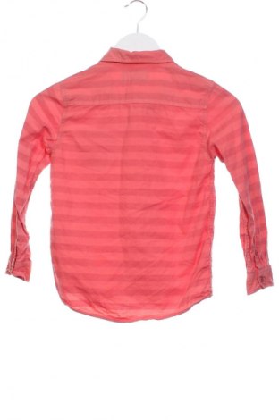 Detská košeľa  Zara, Veľkosť 5-6y/ 116-122 cm, Farba Viacfarebná, Cena  7,09 €