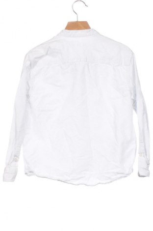 Kinderhemd Zara, Größe 6-7y/ 122-128 cm, Farbe Weiß, Preis 7,16 €