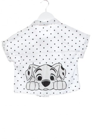 Detská košeľa  Zara, Veľkosť 4-5y/ 110-116 cm, Farba Viacfarebná, Cena  7,16 €