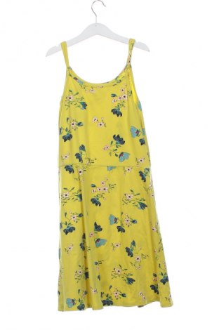 Detské šaty  Bpc Bonprix Collection, Veľkosť 12-13y/ 158-164 cm, Farba Viacfarebná, Cena  12,99 €