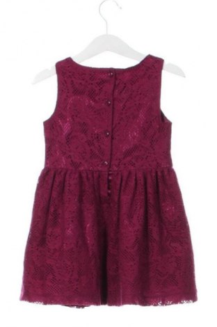 Detské šaty  French Connection, Veľkosť 3-4y/ 104-110 cm, Farba Fialová, Cena  20,97 €