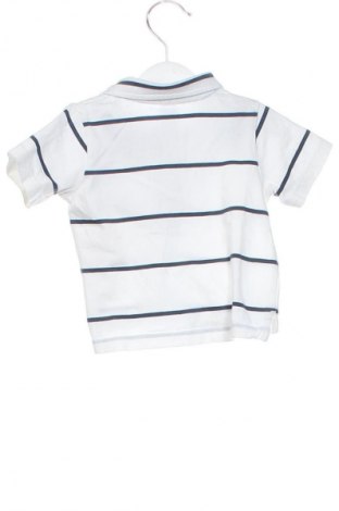 Kinder T-Shirt Bruin, Größe 6-9m/ 68-74 cm, Farbe Mehrfarbig, Preis € 10,00
