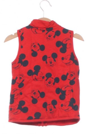 Kinderweste Disney, Größe 18-24m/ 86-98 cm, Farbe Mehrfarbig, Preis € 14,99