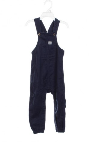 Dziecięcy kombinezon Lupilu, Rozmiar 18-24m/ 86-98 cm, Kolor Niebieski, Cena 76,40 zł
