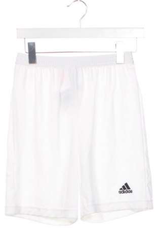Detské krátke nohavice  Adidas, Veľkosť 13-14y/ 164-168 cm, Farba Biela, Cena  15,95 €