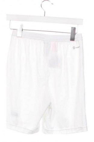 Detské krátke nohavice  Adidas, Veľkosť 13-14y/ 164-168 cm, Farba Biela, Cena  15,95 €