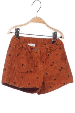 Kinder Shorts Fagottino By Oviesse, Größe 18-24m/ 86-98 cm, Farbe Mehrfarbig, Preis € 9,99