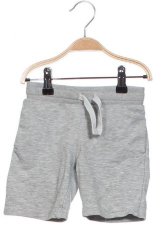 Kinder Shorts H&M, Größe 12-18m/ 80-86 cm, Farbe Grau, Preis € 7,00