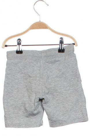 Kinder Shorts H&M, Größe 12-18m/ 80-86 cm, Farbe Grau, Preis € 7,00