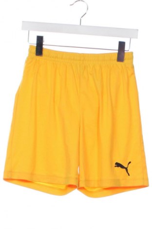 Kinder Shorts PUMA, Größe 13-14y/ 164-168 cm, Farbe Orange, Preis € 18,99