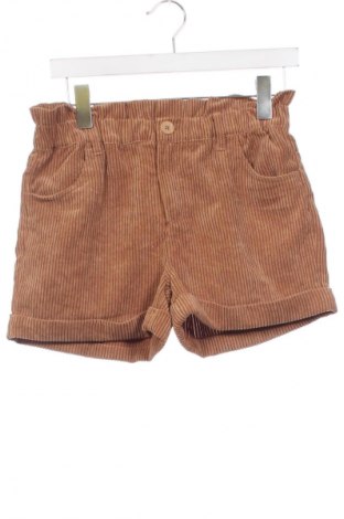 Dziecięce szorty Tex, Rozmiar 13-14y/ 164-168 cm, Kolor Brązowy, Cena 45,99 zł