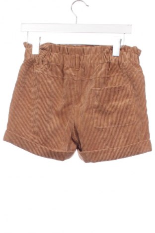 Dziecięce szorty Tex, Rozmiar 13-14y/ 164-168 cm, Kolor Brązowy, Cena 45,99 zł