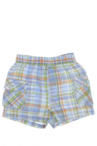 Kinder Shorts The Children's Place, Größe 6-9m/ 68-74 cm, Farbe Mehrfarbig, Preis € 7,00