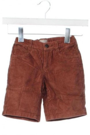 Gyerek rövidnadrág Unbranded, Méret 5-6y / 116-122 cm, Szín Barna, Ár 3 849 Ft