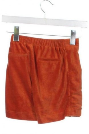 Kinder Shorts Unbranded, Größe 6-7y/ 122-128 cm, Farbe Orange, Preis € 9,99