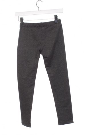 Dziecięce legginsy Orchestra, Rozmiar 7-8y/ 128-134 cm, Kolor Szary, Cena 45,99 zł