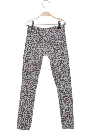 Dziecięce legginsy Pepco, Rozmiar 7-8y/ 128-134 cm, Kolor Kolorowy, Cena 32,18 zł