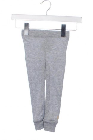 Dziecięce legginsy Unbranded, Rozmiar 12-18m/ 80-86 cm, Kolor Szary, Cena 45,99 zł