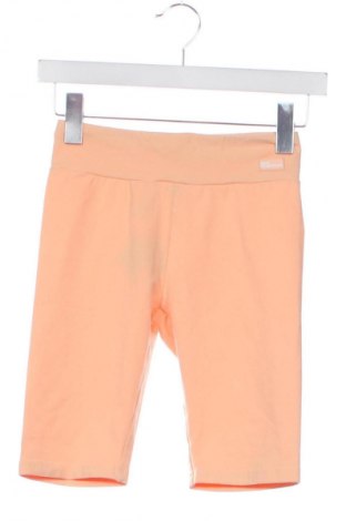 Dziecięce legginsy Zara, Rozmiar 12-13y/ 158-164 cm, Kolor Pomarańczowy, Cena 27,59 zł