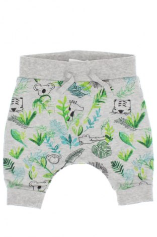Detské nohavice  Next, Veľkosť 3-6m/ 62-68 cm, Farba Viacfarebná, Cena  13,13 €