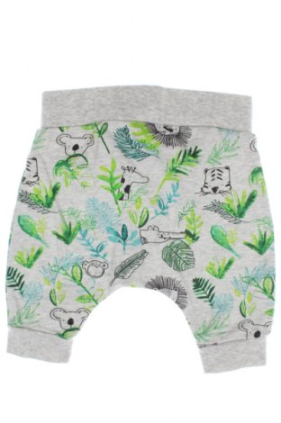 Detské nohavice  Next, Veľkosť 3-6m/ 62-68 cm, Farba Viacfarebná, Cena  13,13 €