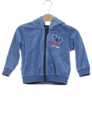 Kinder Sweatshirts Lupilu, Größe 9-12m/ 74-80 cm, Farbe Blau, Preis 12,00 €