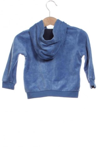 Kinder Sweatshirts Lupilu, Größe 9-12m/ 74-80 cm, Farbe Blau, Preis 12,00 €