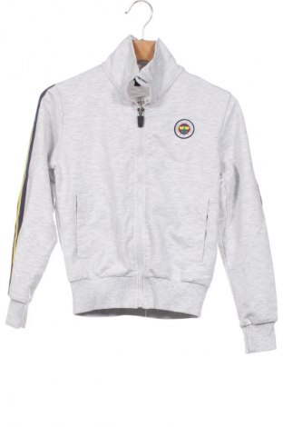 Dziecięca sportowa bluza Fenerium, Rozmiar 4-5y/ 110-116 cm, Kolor Szary, Cena 95,99 zł