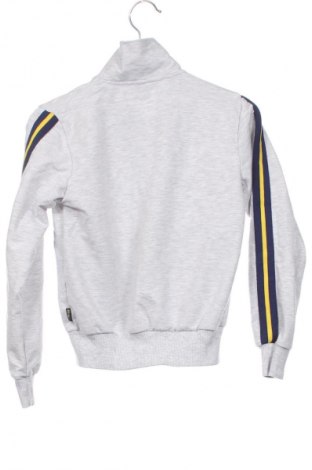 Dziecięca sportowa bluza Fenerium, Rozmiar 4-5y/ 110-116 cm, Kolor Szary, Cena 95,99 zł